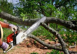 Best Mulching Services  in Logansport, IN