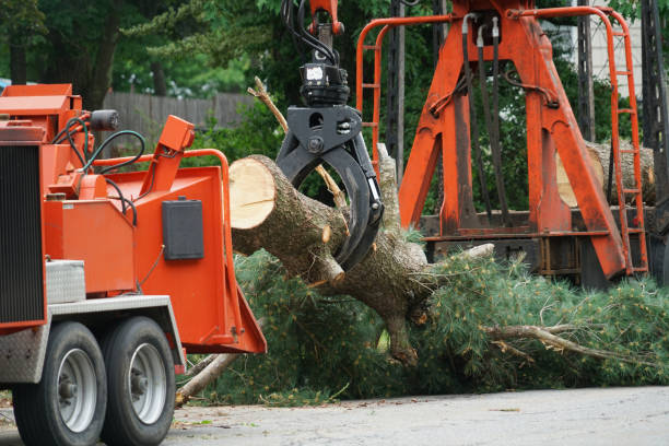 Best Grass Overseeding  in Logansport, IN